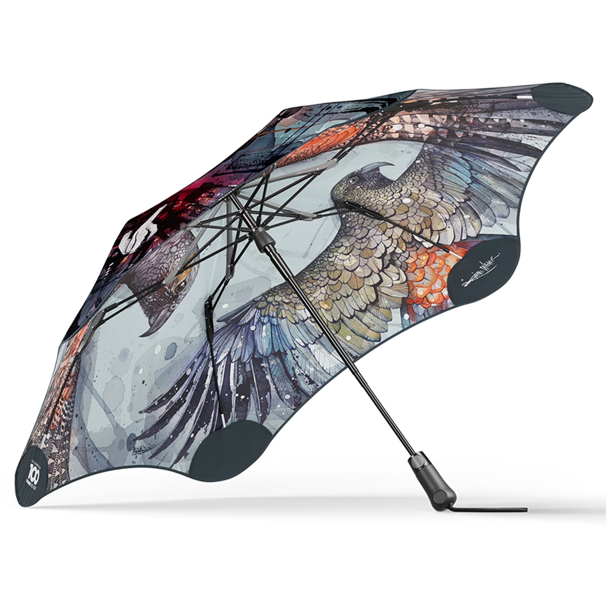 BLUNT x Forest & Bird Metro 2024 - Image 3