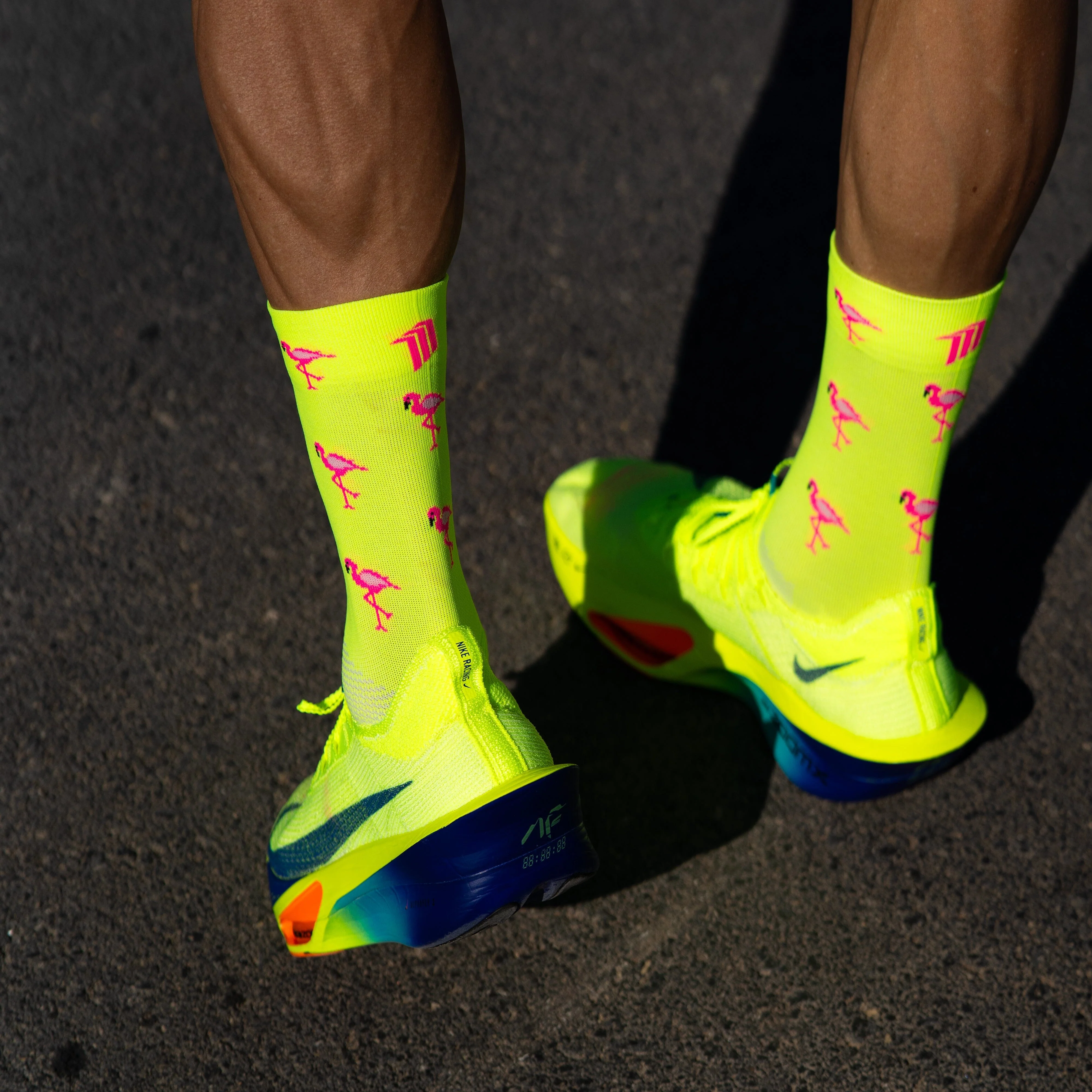 SPORCKS Flamingo - Running Socks - Image 5