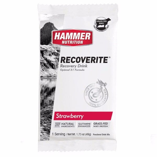 Hammer Recoverite (Glutamine Fortified Recovery Drink) - Image 5