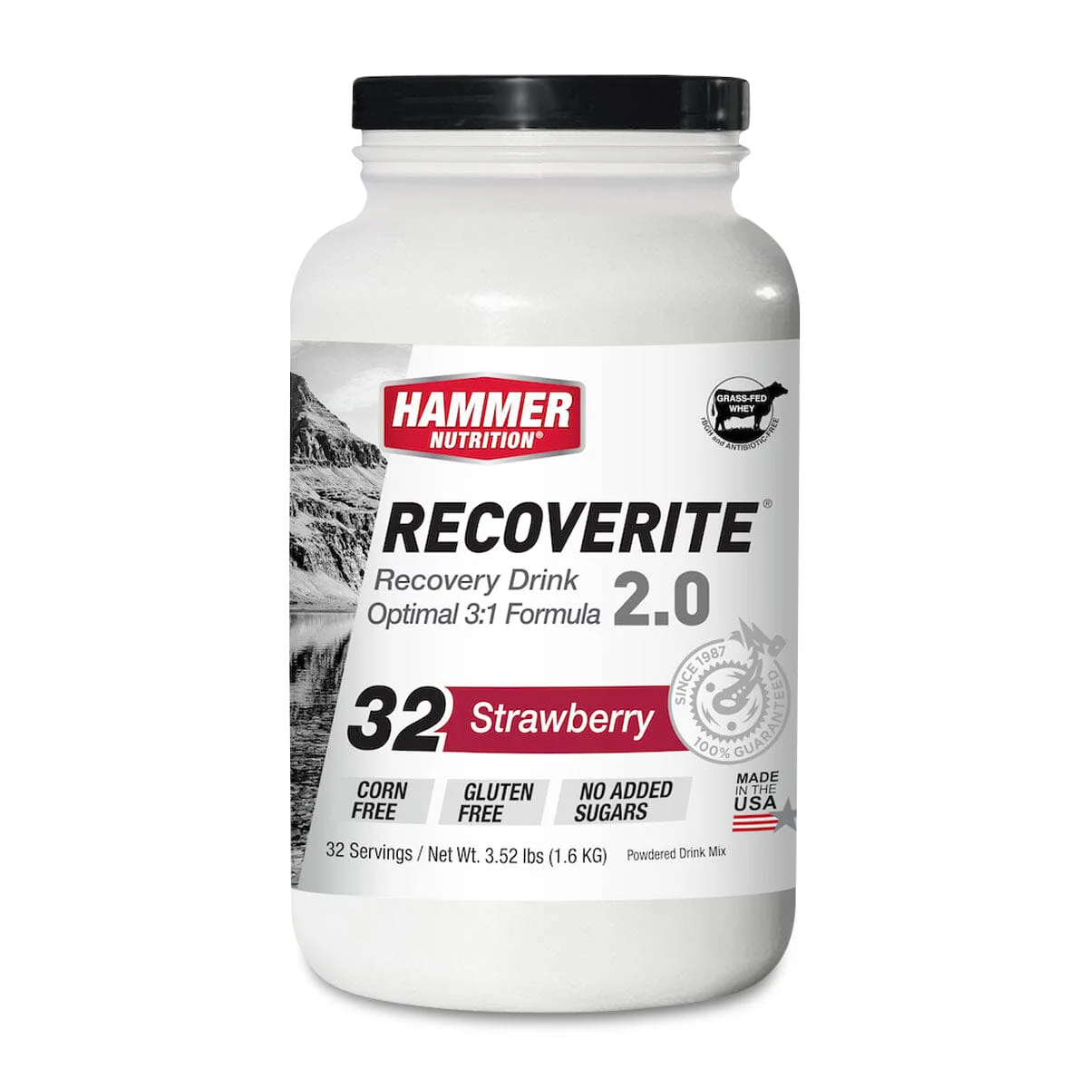 Hammer Recoverite (Glutamine Fortified Recovery Drink) - Image 7