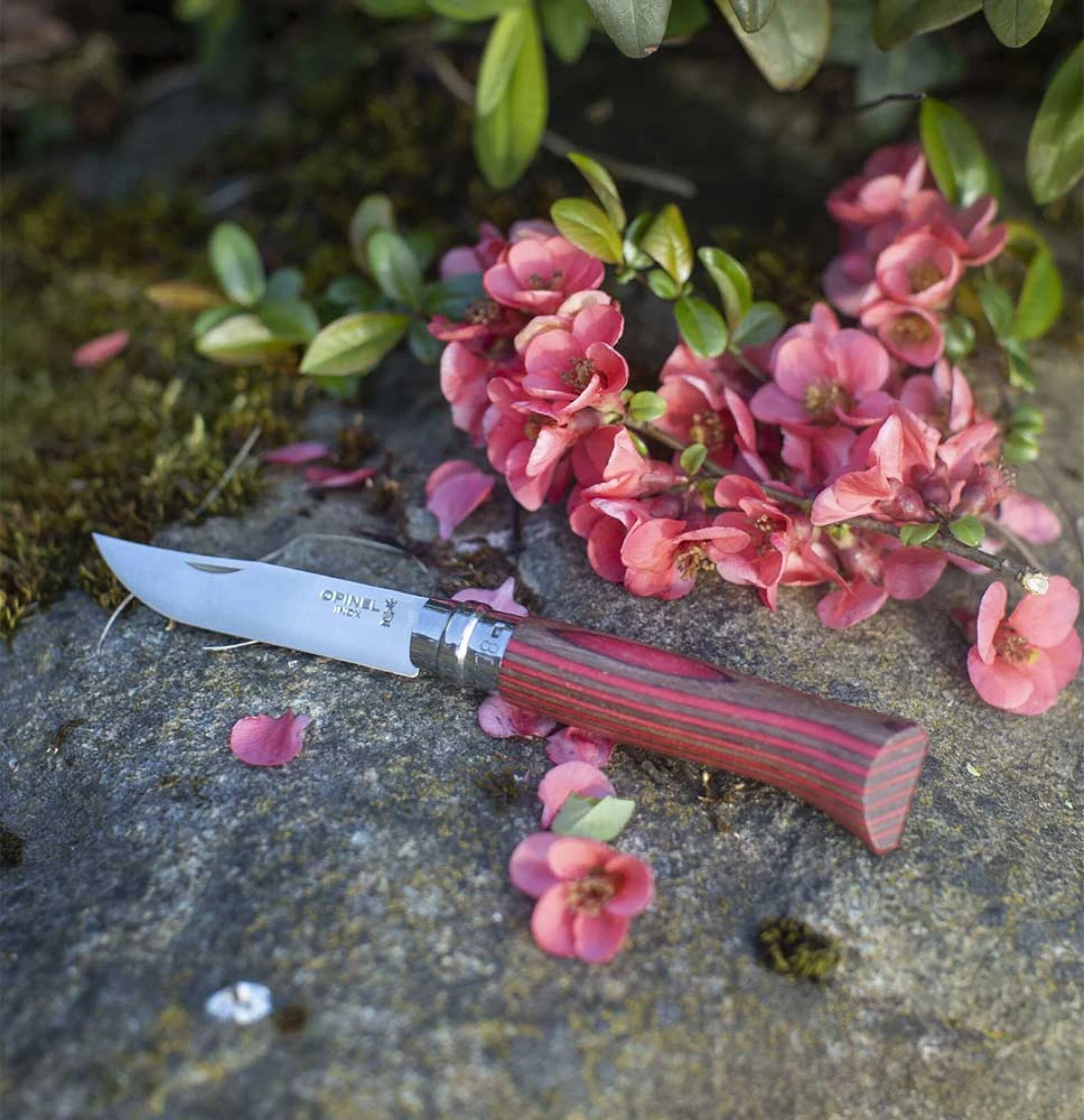 Opinel Pocket Knife N°08 Red Laminated Birch - Image 4