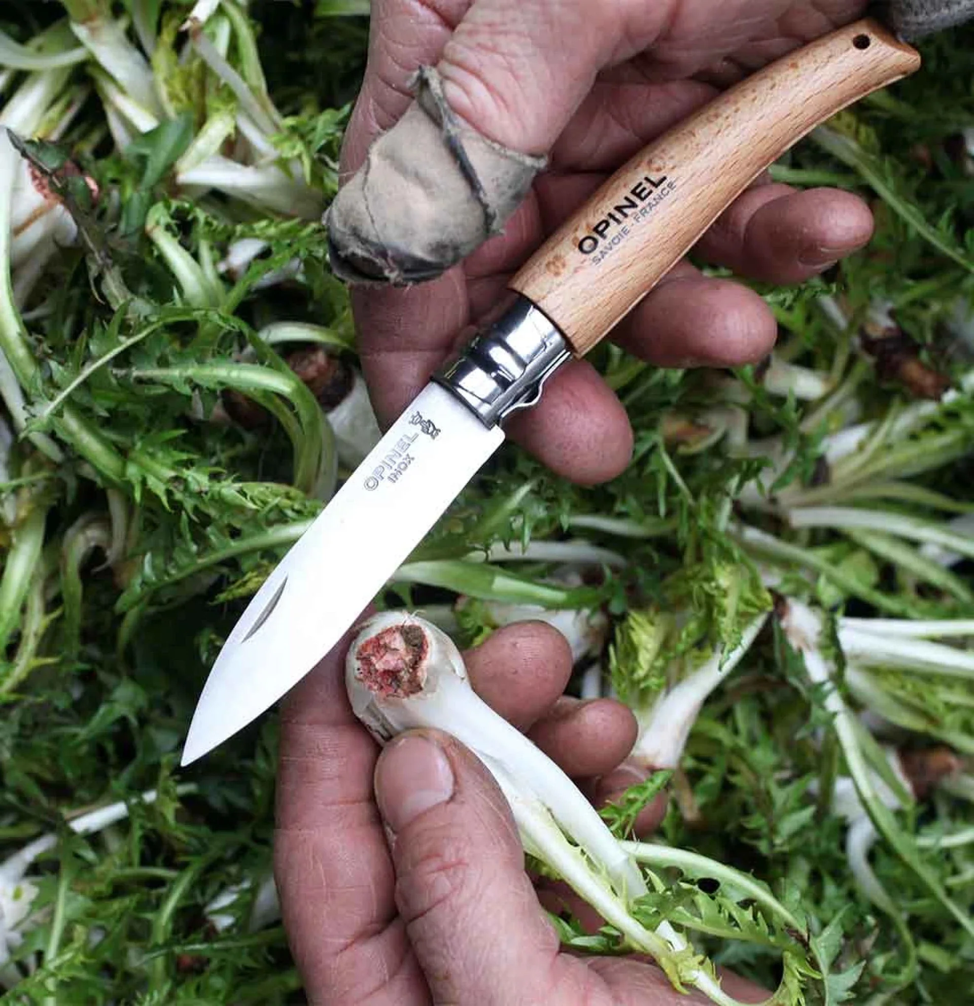 Opinel Pocket Knife N°08 Garden - Image 5